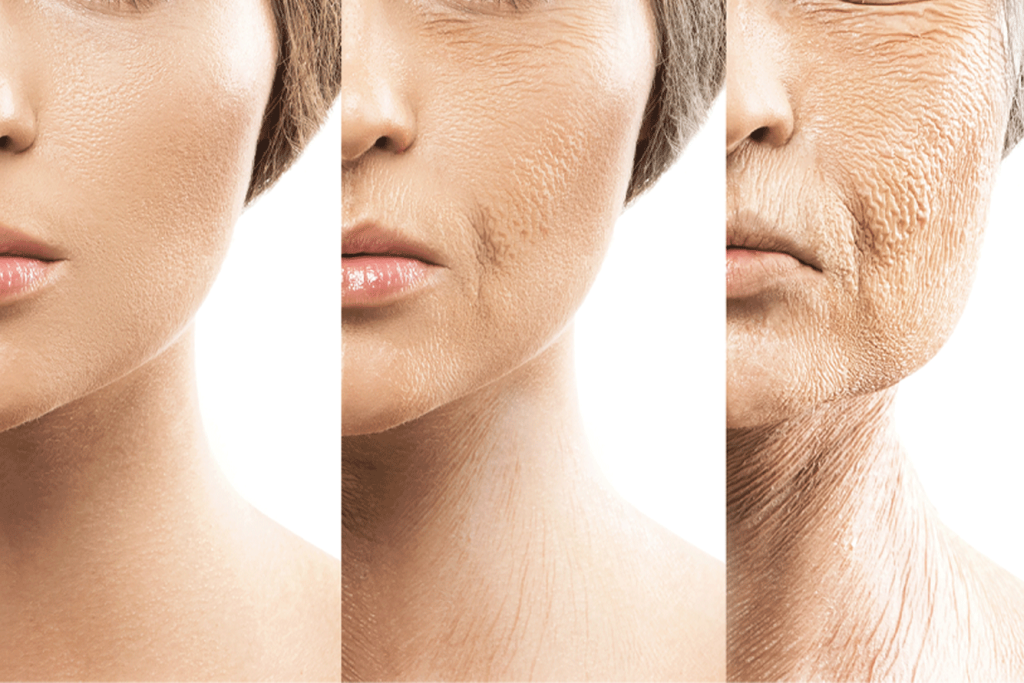En cada estación, la piel experimenta una serie de cambios que requieren ajustes en la rutina facial. ¿Cuáles son los ingredientes esenciales para cuidar la piel durante los meses de otoño?